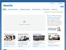Tablet Screenshot of metlifega.com